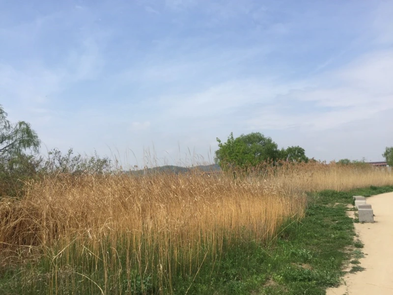 %EA%B3%A0%EC%96%91%EB%8C%80%EB%8D%95%EC%83%9D%ED%83%9C%EA%B3%B5%EC%9B%9013.png?type=w800