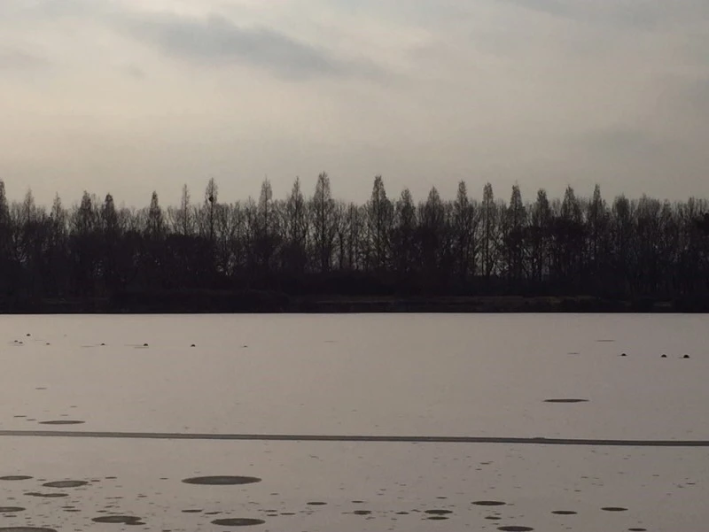 %EB%82%98%EB%AC%B4%EA%B6%8C%EB%A6%AC%EC%84%A0%EC%96%B8_%ED%98%B8%EC%88%98%EA%B3%B5%EC%9B%90%ED%92%8D%EA%B2%BD02.jpg?type=w800