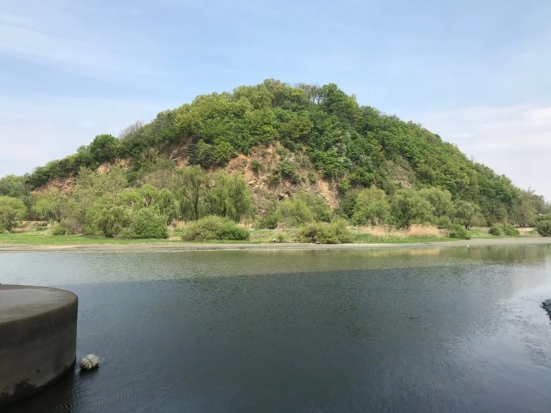 %EA%B3%A0%EC%96%91%EB%8C%80%EB%8D%95%EC%83%9D%ED%83%9C%EA%B3%B5%EC%9B%9018.png?type=w800