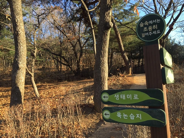 g_02dUd018svc103yqgcfm6df5_ewl4x0.png?type=w800