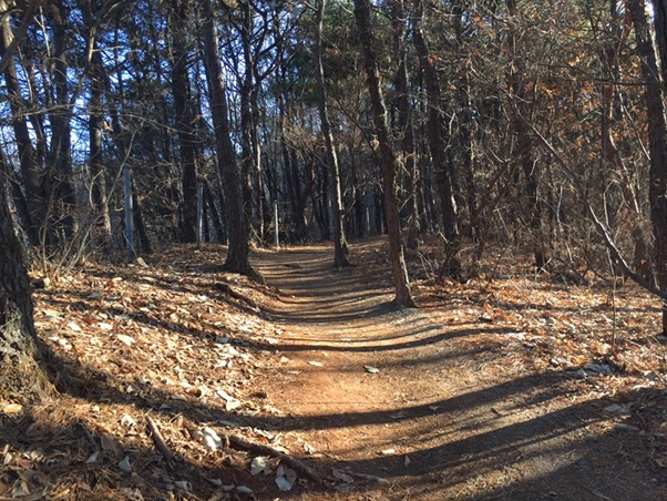 5_82eUd018svc28nzgujq8ul5_ewl4x0.png?type=w800