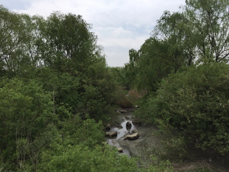 %EA%B3%A0%EC%96%91%EB%8C%80%EB%8D%95%EC%83%9D%ED%83%9C%EA%B3%B5%EC%9B%9007.png?type=w800