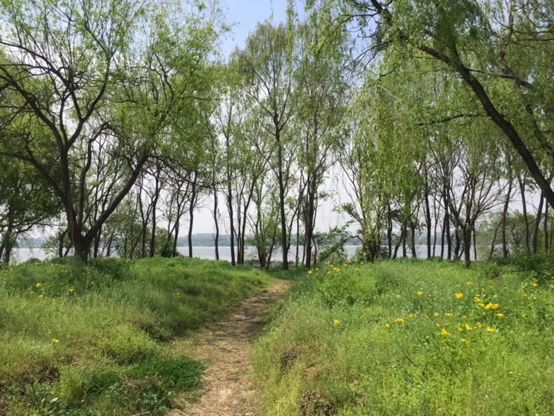 %EA%B3%A0%EC%96%91%EB%8C%80%EB%8D%95%EC%83%9D%ED%83%9C%EA%B3%B5%EC%9B%9020.png?type=w800