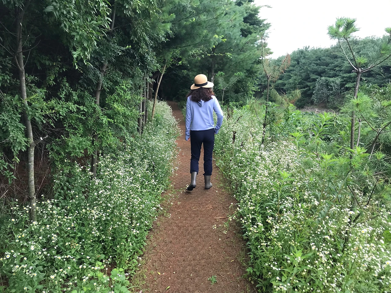 KakaoTalk_Photo_2022-07-11-10-16-59 002.jpeg