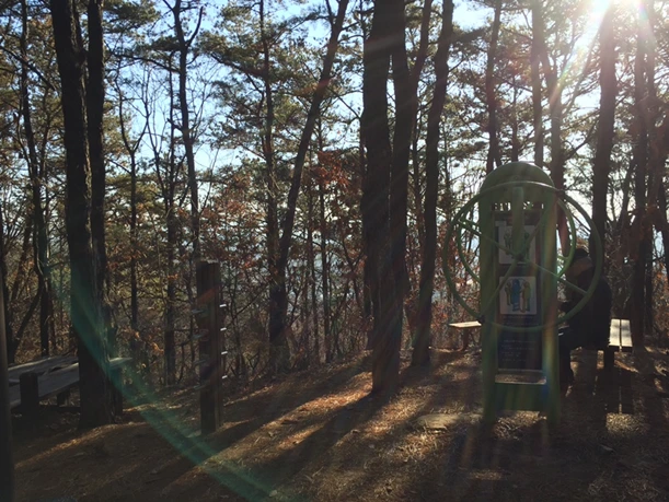 a_d2eUd018svc16ppl0uqeodm8_ewl4x0.png?type=w800