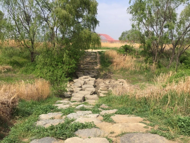 %EA%B3%A0%EC%96%91%EB%8C%80%EB%8D%95%EC%83%9D%ED%83%9C%EA%B3%B5%EC%9B%9010.png?type=w800