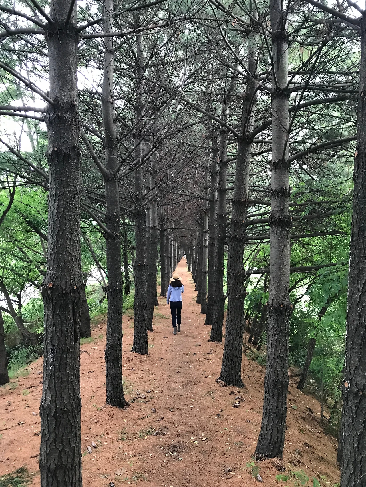 KakaoTalk_Photo_2022-07-11-10-16-59 007.jpeg