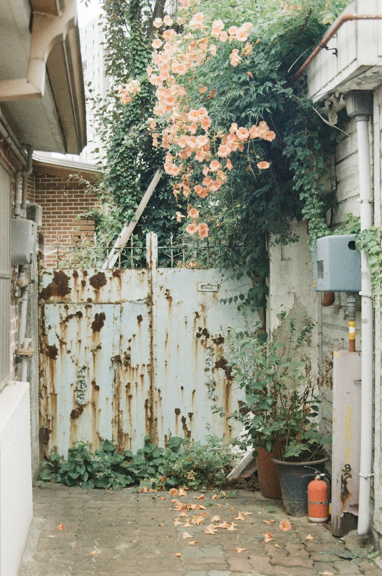 KakaoTalk_Photo_2025-08-05-23-24-16 007.jpeg