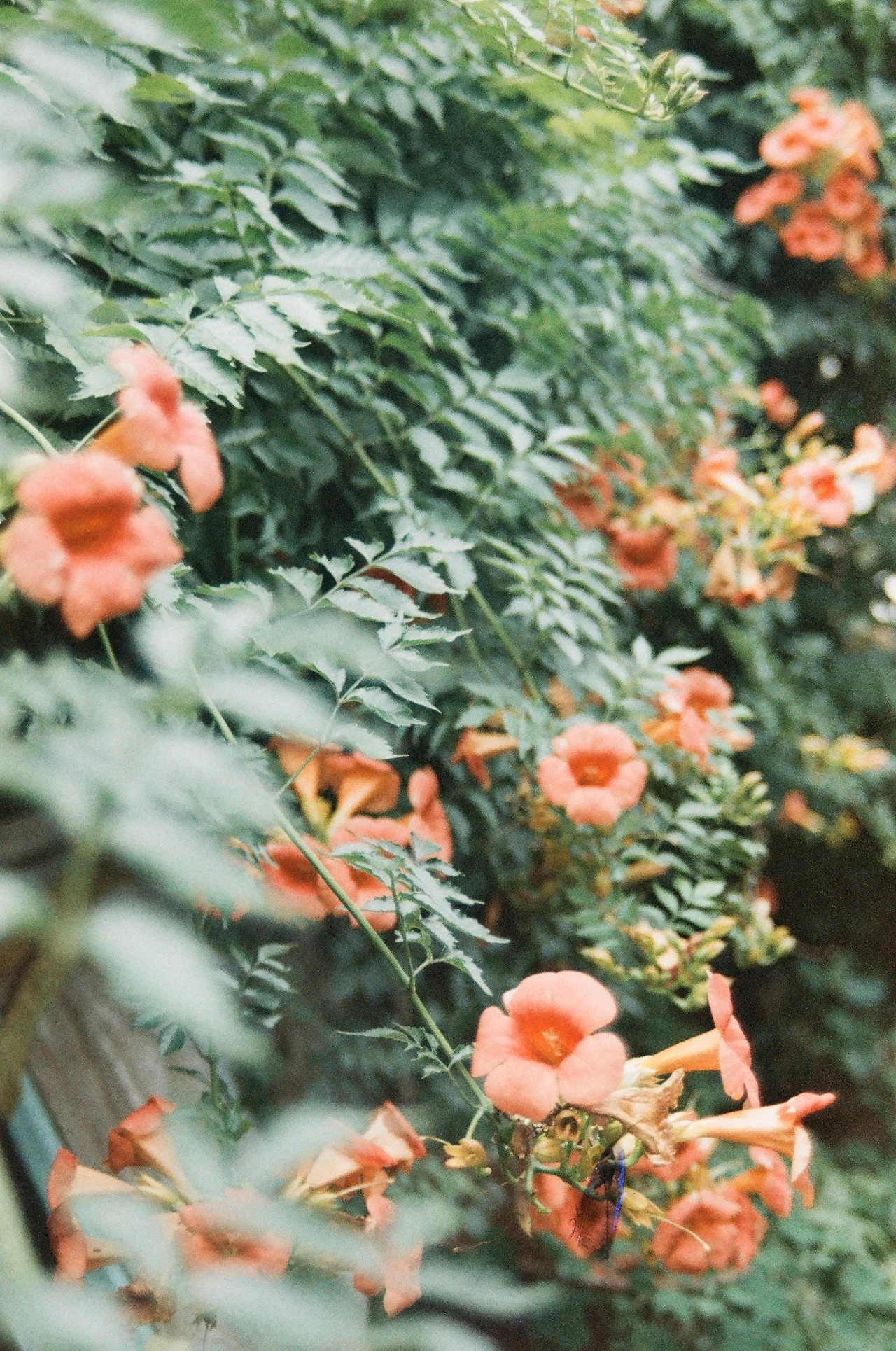 KakaoTalk_Photo_2025-08-05-23-24-21 013.jpeg