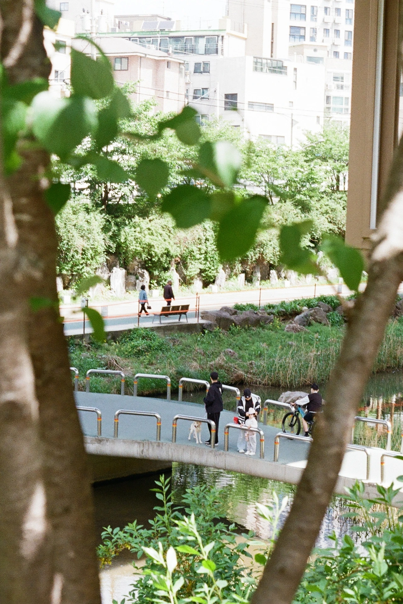 연희동-홍제천로(구청 방면)_컬러플러스20018.jpeg