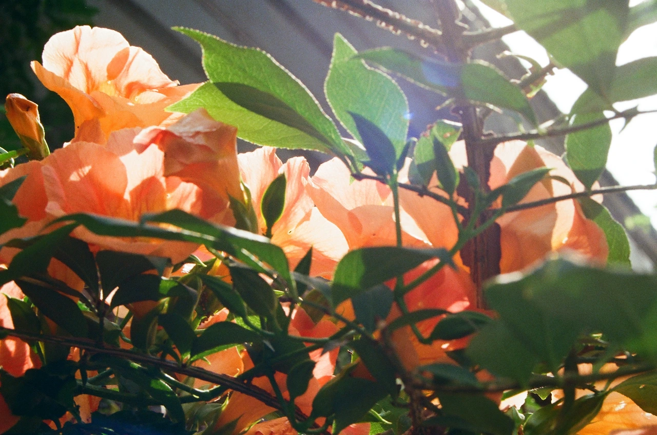 KakaoTalk_Photo_2025-08-05-23-35-11 019.jpeg