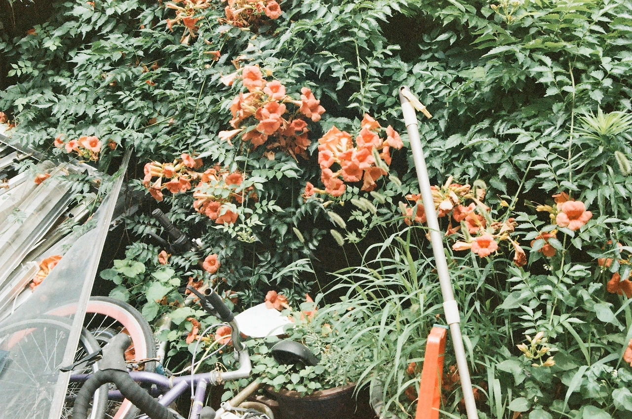 KakaoTalk_Photo_2025-08-05-23-24-20 012.jpeg