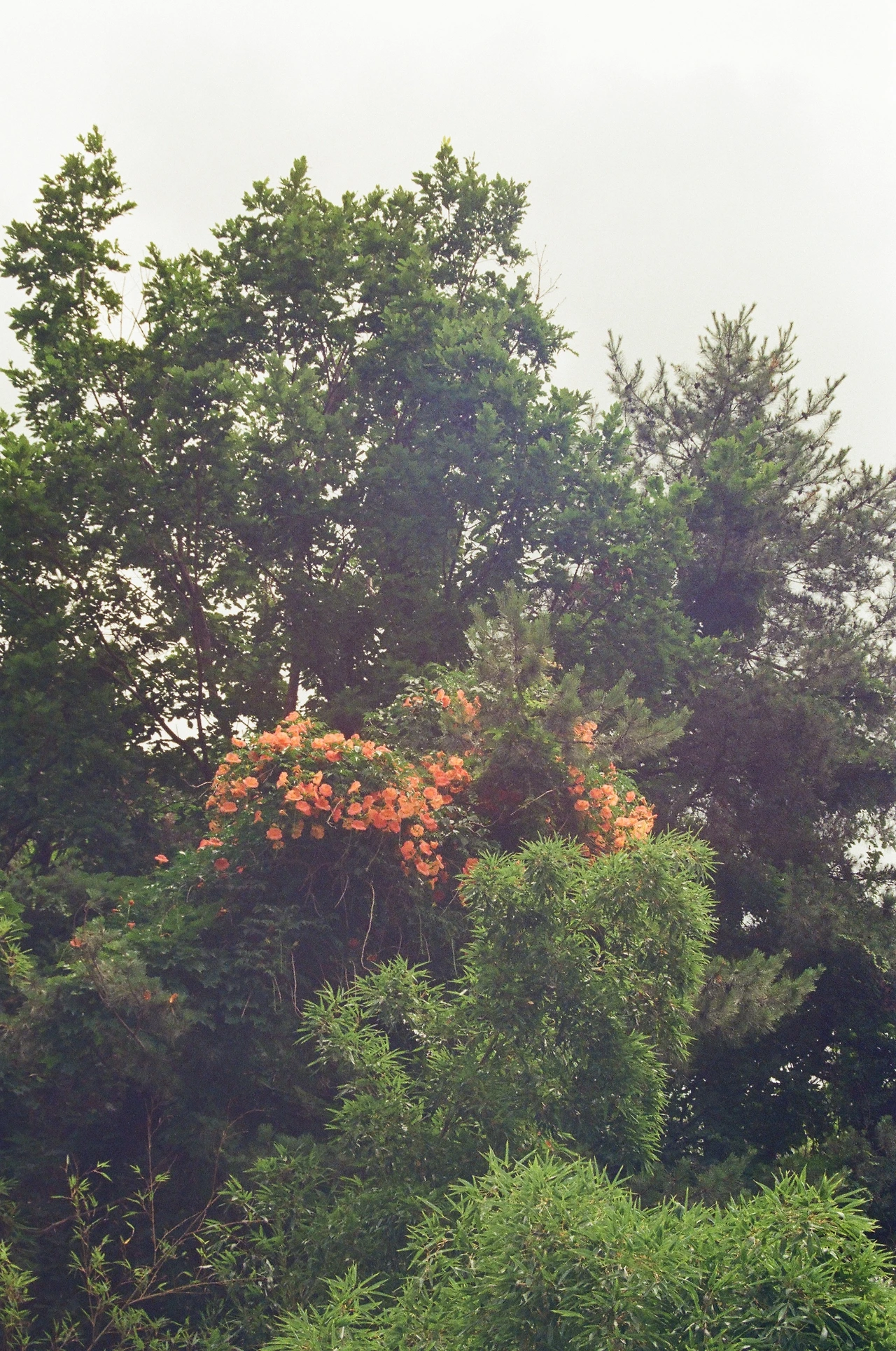 KakaoTalk_Photo_2025-08-05-23-35-10 018.jpeg