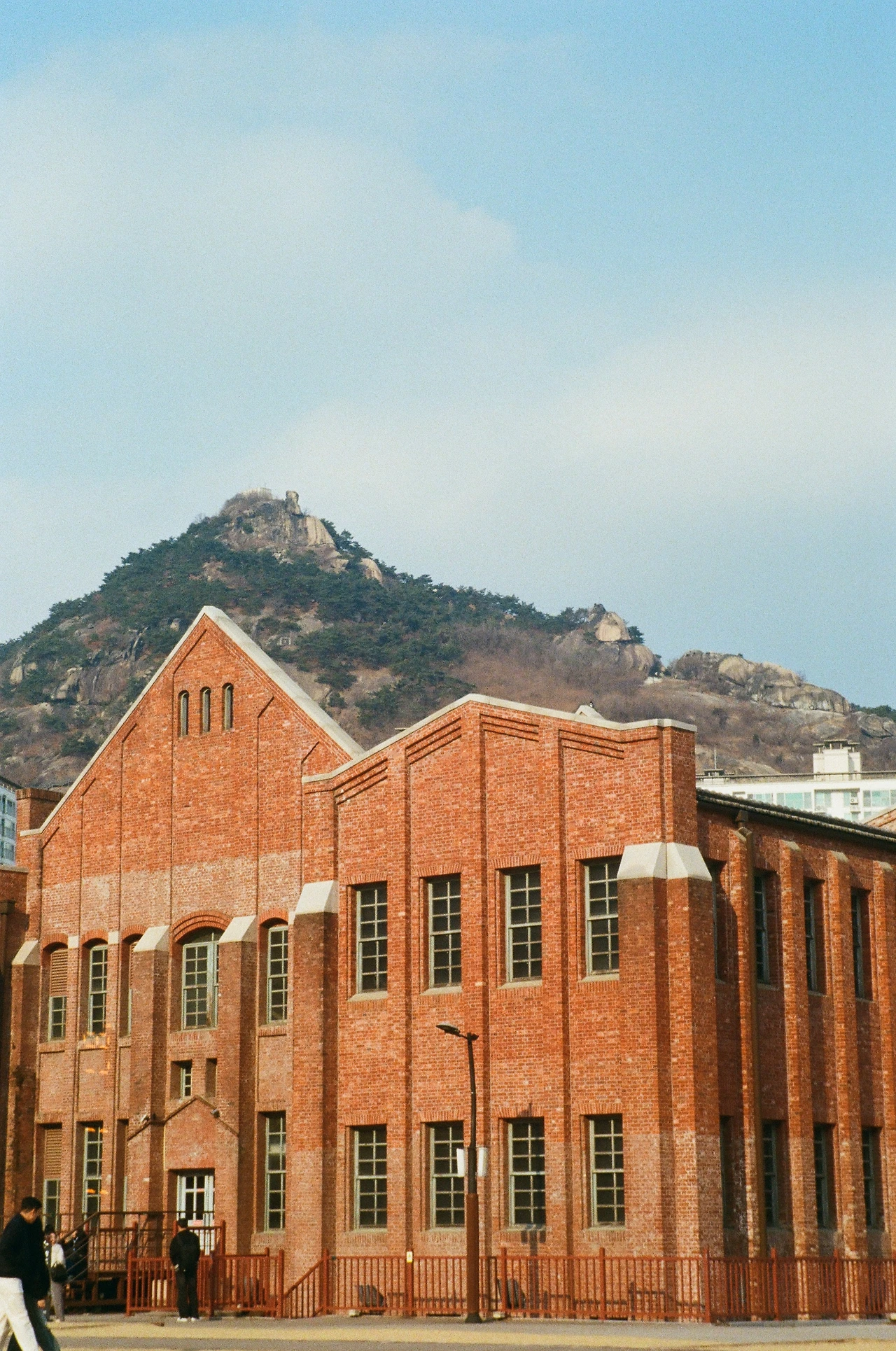 KakaoTalk_Photo_2025-04-01-23-35-25 007.jpeg