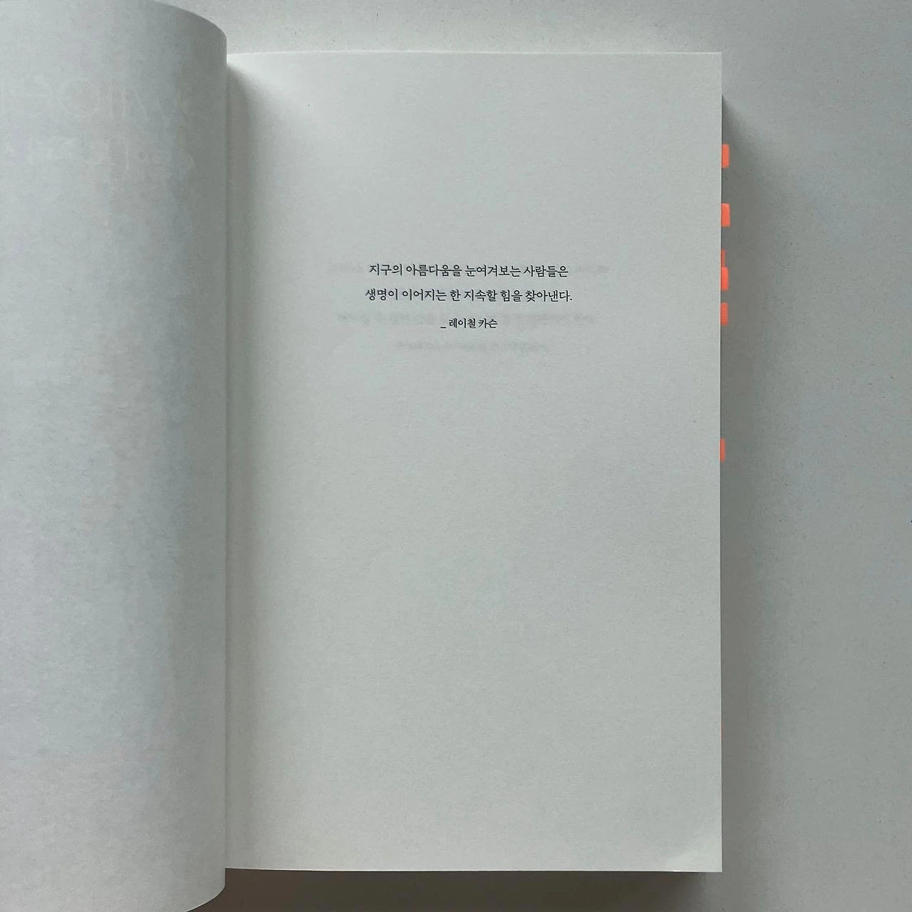 KakaoTalk_Photo_2022-06-05-11-30-20 003.jpeg