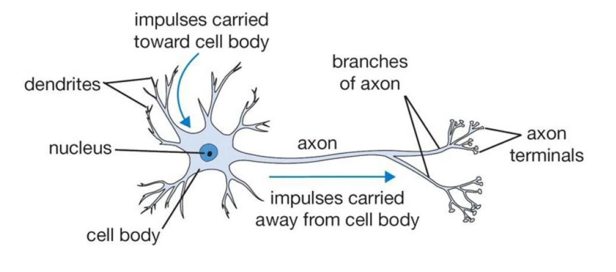 uT3MdkVrH3VCossbhmUxUHwHU2f4QoYSmST-sbN5tzctGVEfyGIJjx157KOw1hic2Nb2qyO5_w9_kl9sSAhWTcSIrMcptEML0ErPZ0sdWYj3dmYOPb3wBluq4HLCIcwOLrKa9v0D