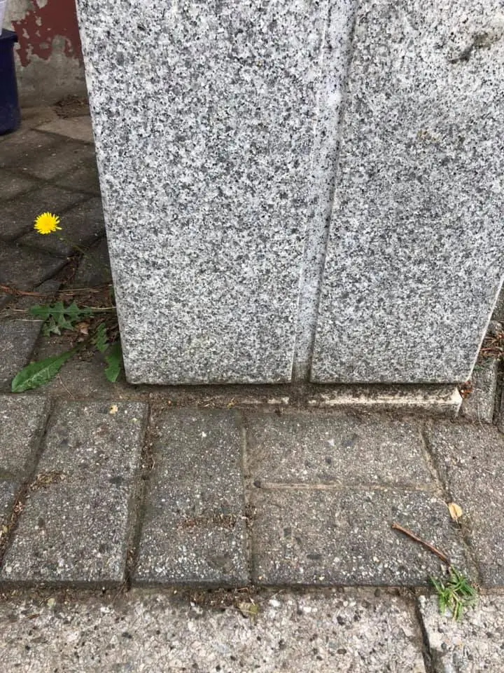 65847334_2286560798064226_2925614143010504704_n.jpg?_nc_cat=103&ccb=1-7&_nc_sid=833d8c&_nc_ohc=lpex0EJD7HcQ7kNvwHSo1pJ&_nc_oc=AdlJb9hSkMyNpHgdPOyiXIOOrRGQn6OVGZHQEPmWI6BYu7PlFbxQ89VBv8-ymgDuaP4&_nc_zt=23&_nc_ht=scontent-nrt1-1.xx&_nc_gid=SPnwWnAKplTPdnKCtmuVQA&oh=00_AfkbWKxUC9kla7cFInxWw5c2RW3g4Yv__F7xO0xuLQFjMg&oe=697BF713