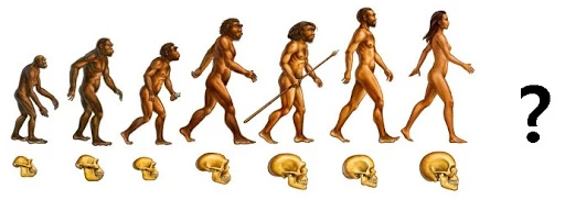 unnamed.jpg?type=w773