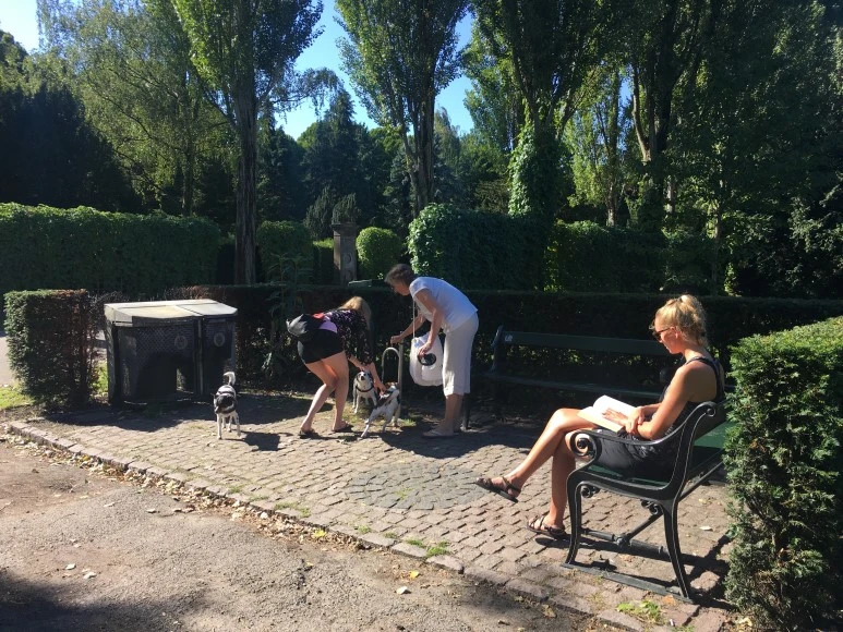 IMG_4062_%281%29.JPG?type=w773