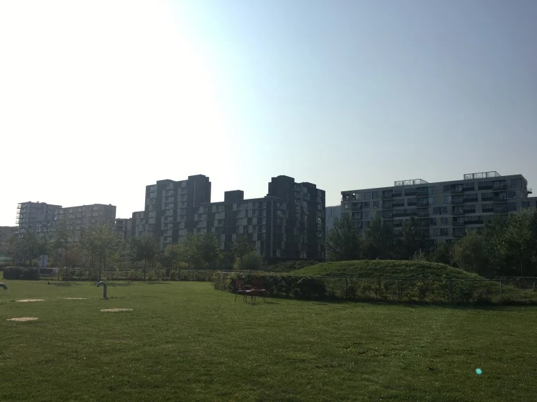 IMG_4825.JPG?type=w773