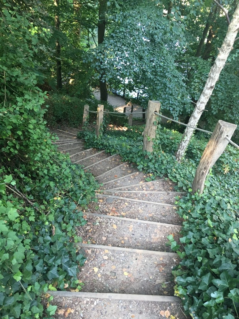 IMG_4411.JPG?type=w773