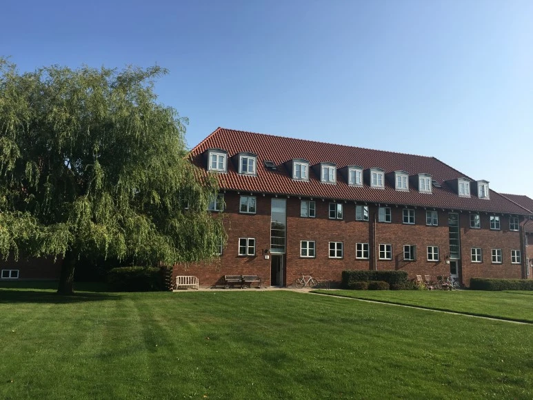 IMG_4271.JPG?type=w773