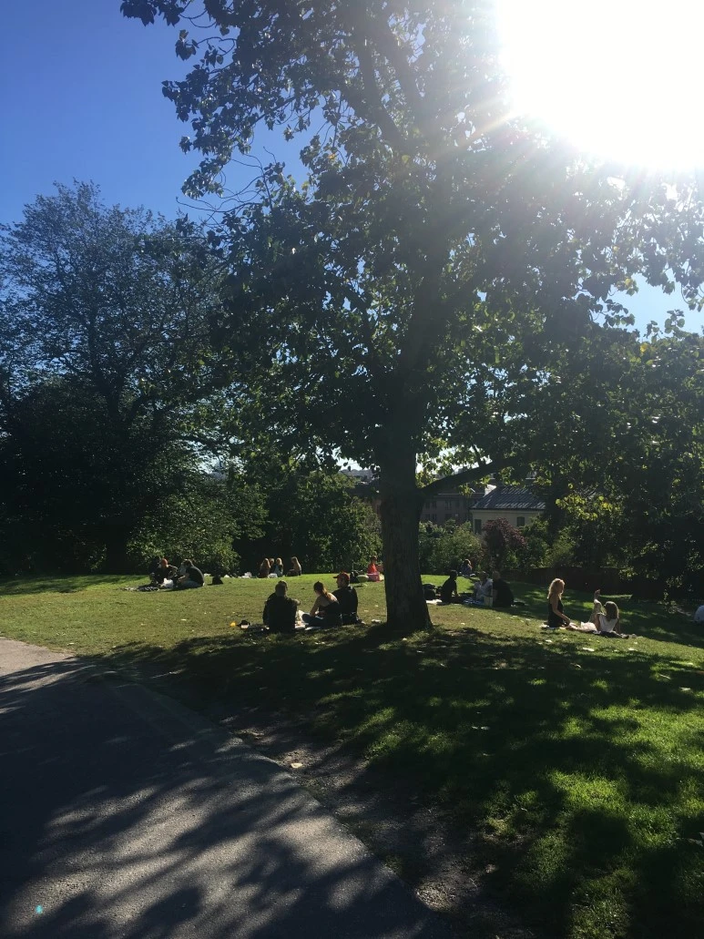 IMG_3682.JPG?type=w773