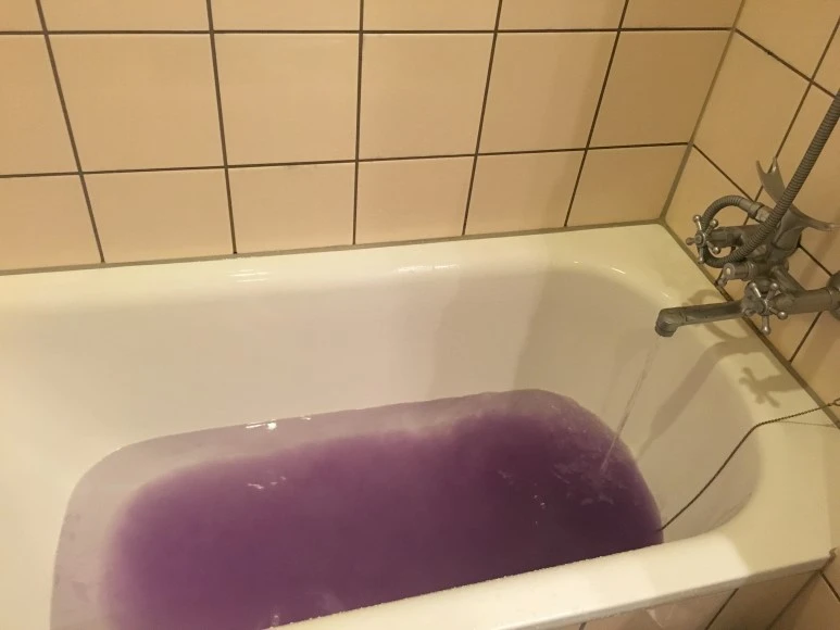 IMG_3878.JPG?type=w773