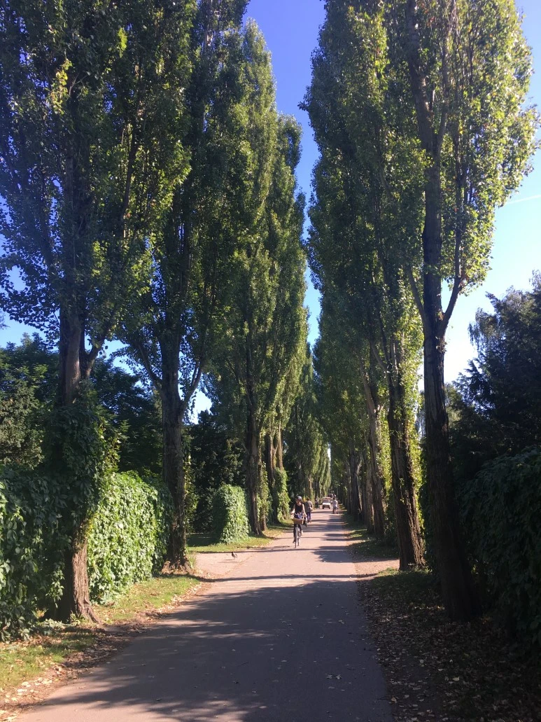 IMG_4056_%281%29.JPG?type=w773