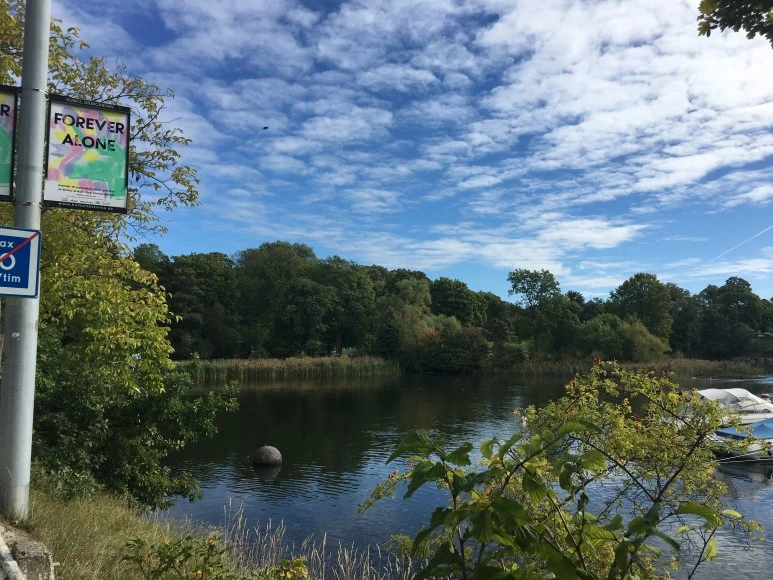 IMG_3210.JPG?type=w773