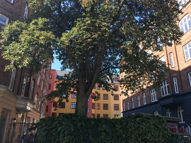 UNADJUSTEDNONRAW_thumb_4b21.jpg?type=w773