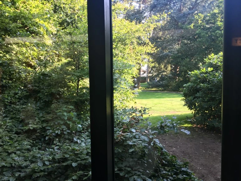 IMG_4292.JPG?type=w773