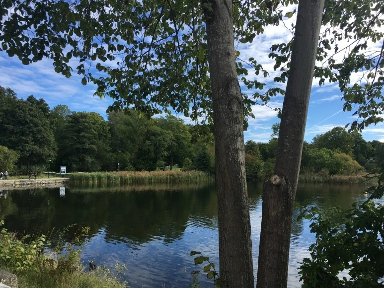 IMG_3212.JPG?type=w773