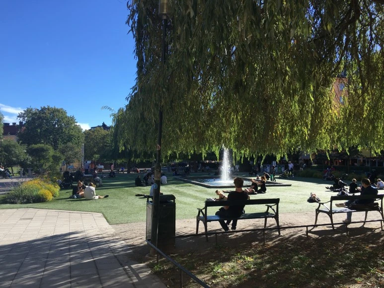 IMG_2995.JPG?type=w773