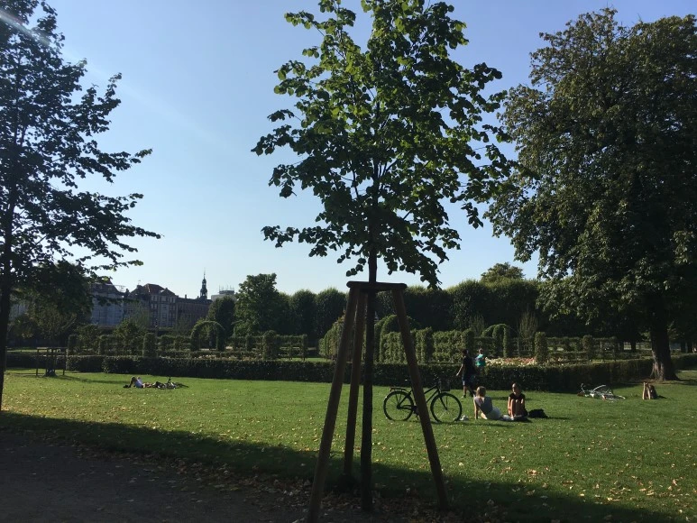 IMG_4705.JPG?type=w773