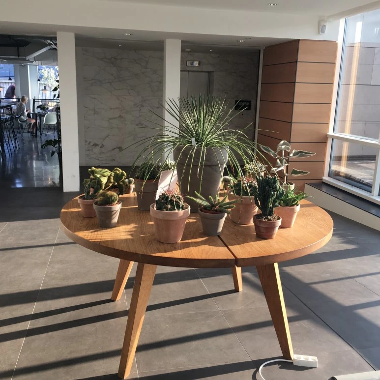 IMG_4920.JPG?type=w773