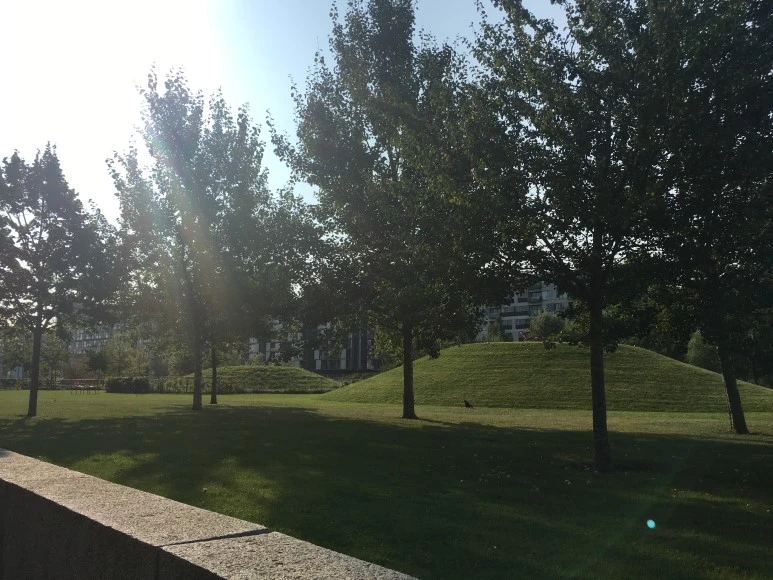 IMG_4823.JPG?type=w773