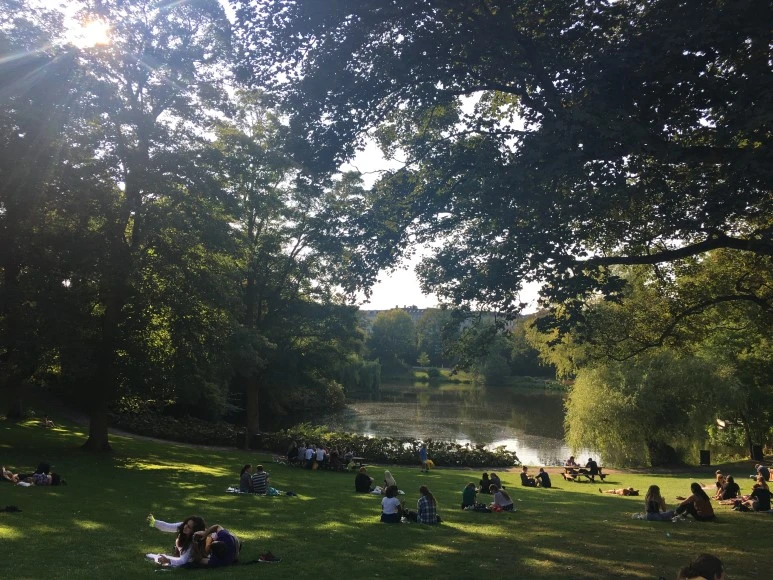 IMG_4492.JPG?type=w773