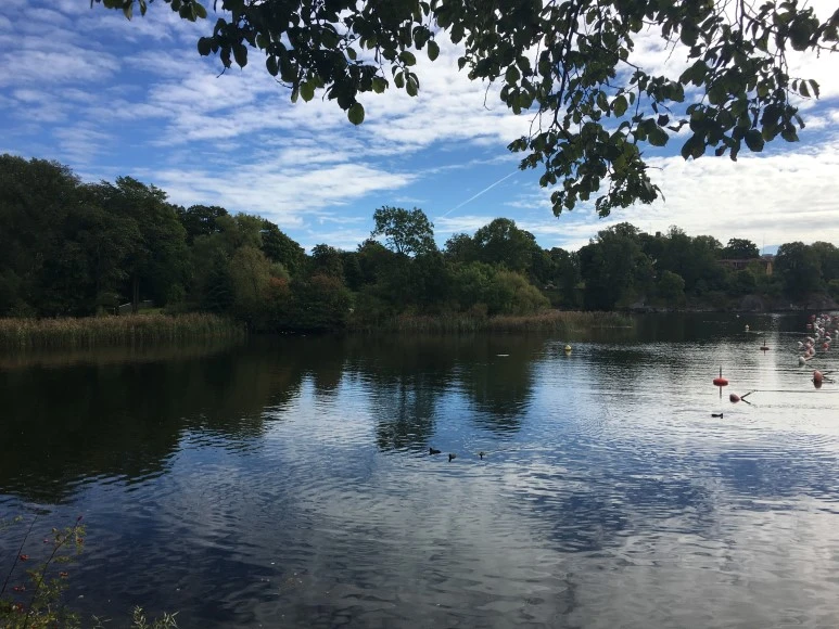 IMG_3214.JPG?type=w773