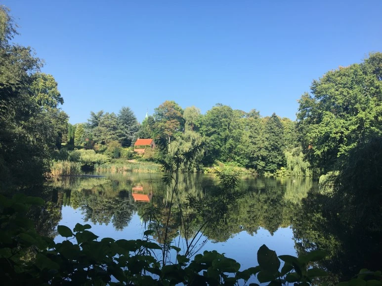 IMG_4413.JPG?type=w773