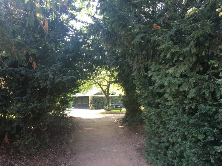 IMG_4497.JPG?type=w773