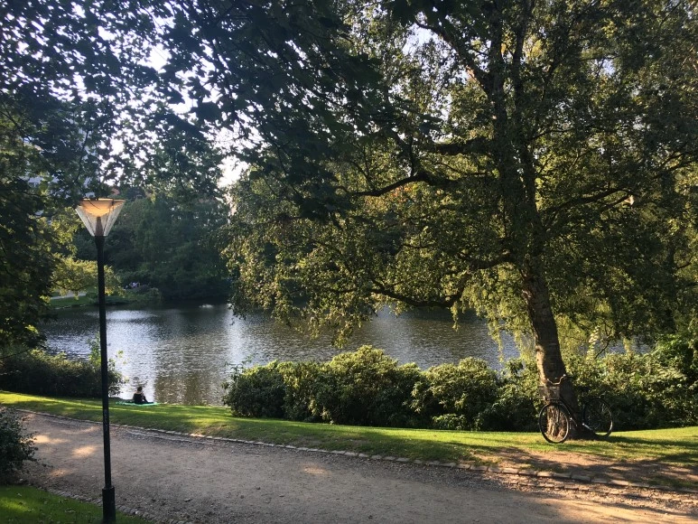 IMG_4499.JPG?type=w773