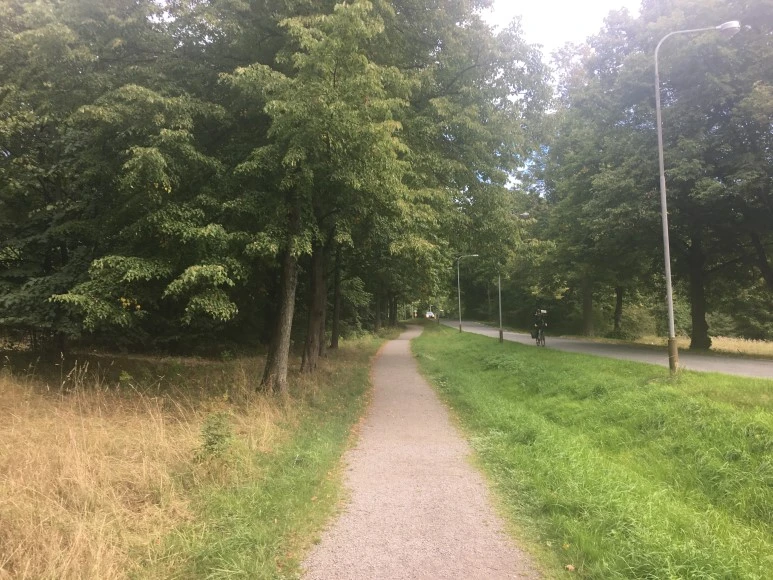 IMG_3219.JPG?type=w773