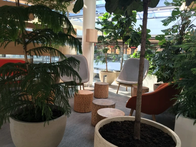 IMG_4841.JPG?type=w773