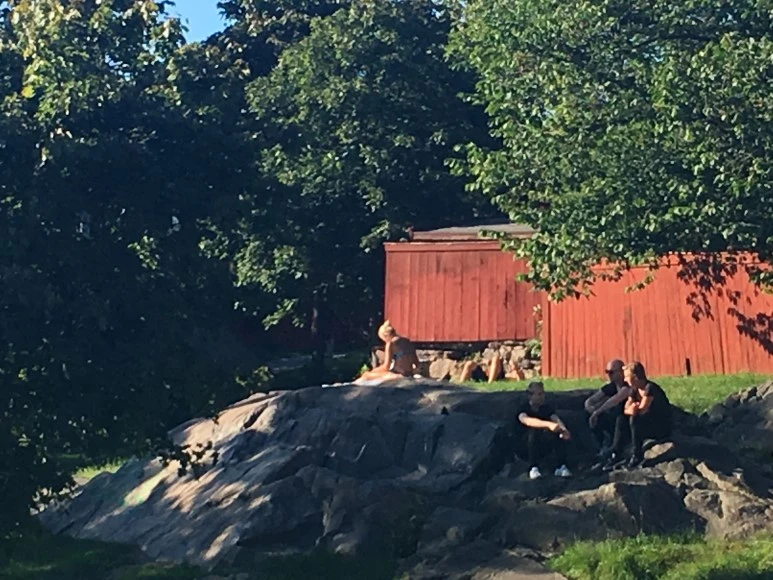 IMG_3708.JPG?type=w773