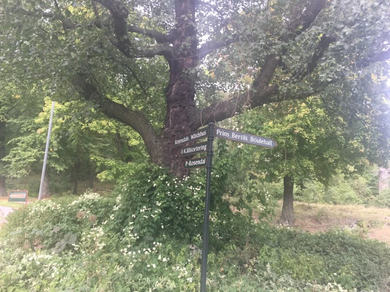 IMG_3217.JPG?type=w773