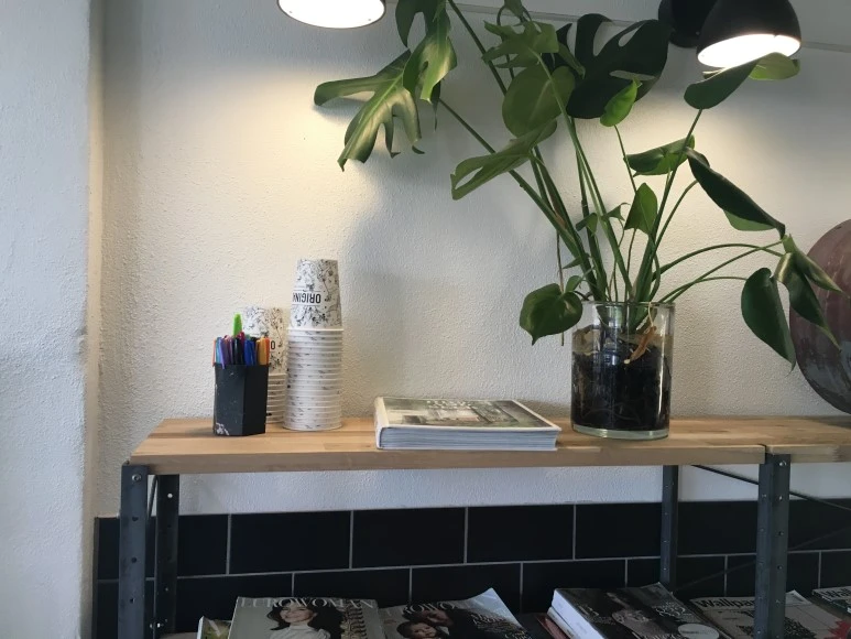 IMG_4928.JPG?type=w773