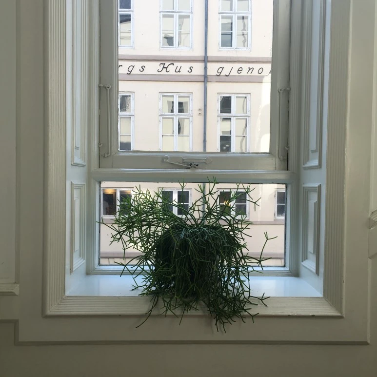 IMG_4663.JPG?type=w773