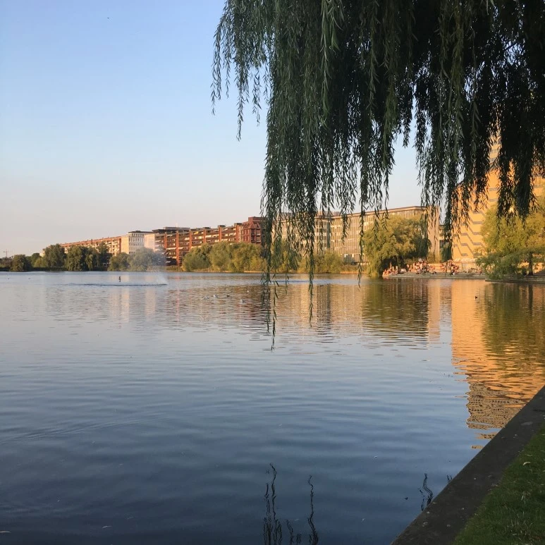 IMG_0210.JPG?type=w773