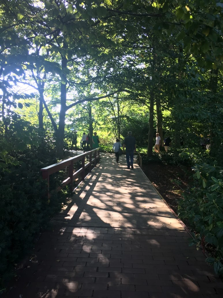 IMG_4466.JPG?type=w773